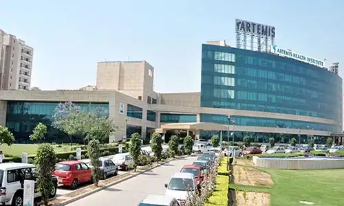 Artemis Hospital