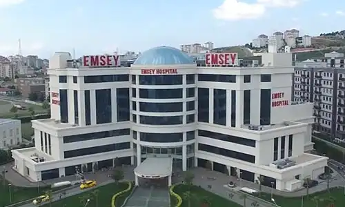 Emsey Hospital